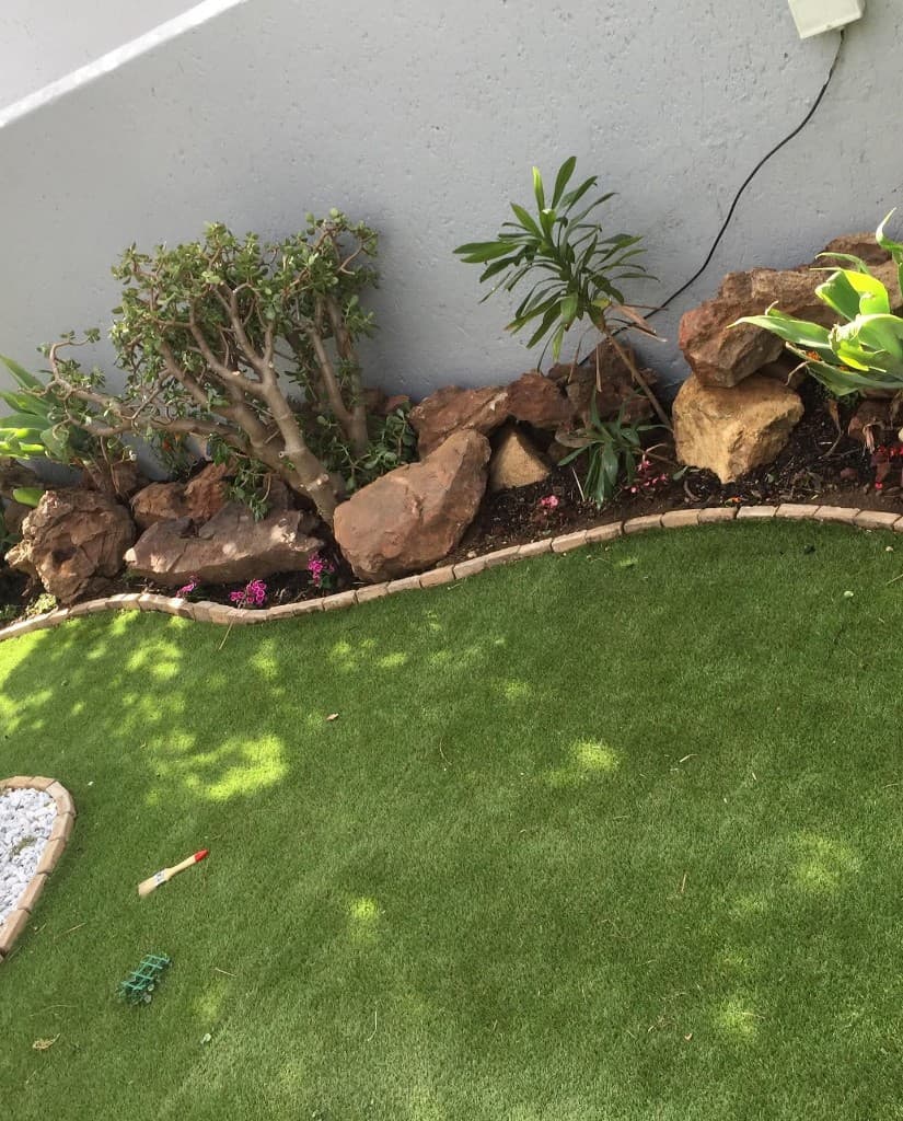 Rock garden with succulents against a boundary wall