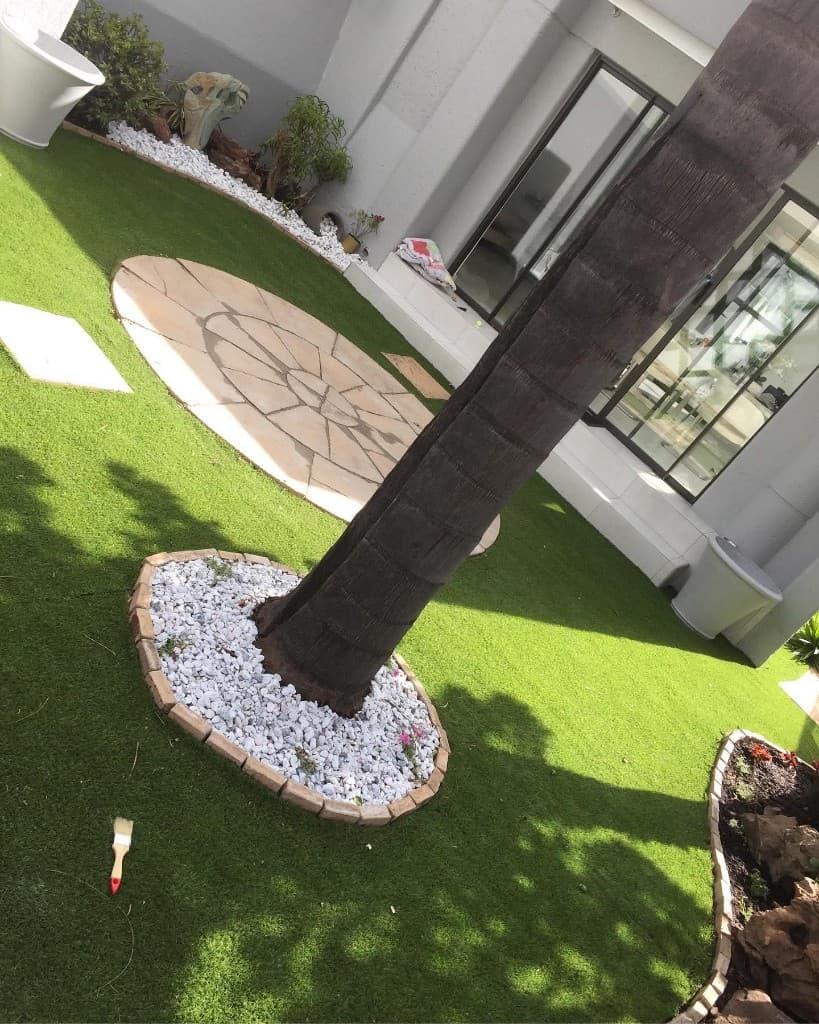 Palm tree with circular sunburst patio on artificial lawn