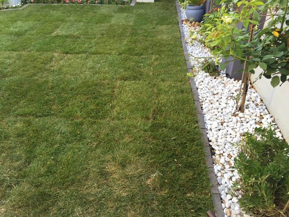 Fresh lawn installation with white pebble border along wall