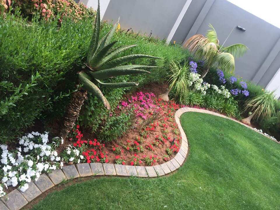 Curved flower bed with agapanthus, palms and stone edging