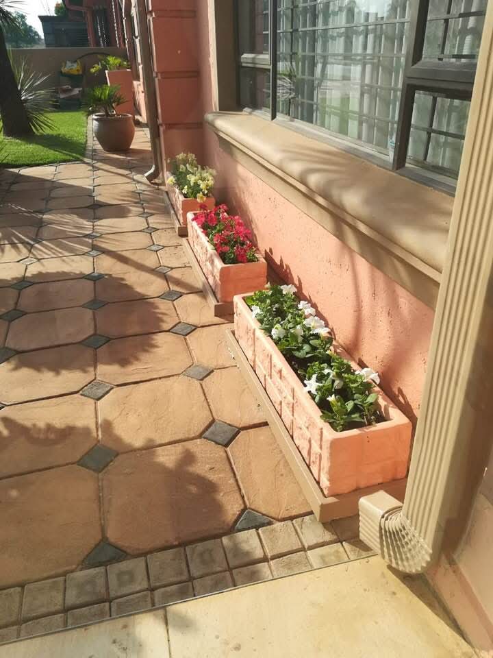 Decorative garden bed with black lattice fence and flowering plants