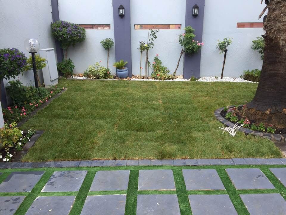 Backyard with slate paver grid, central lawn and feature wall
