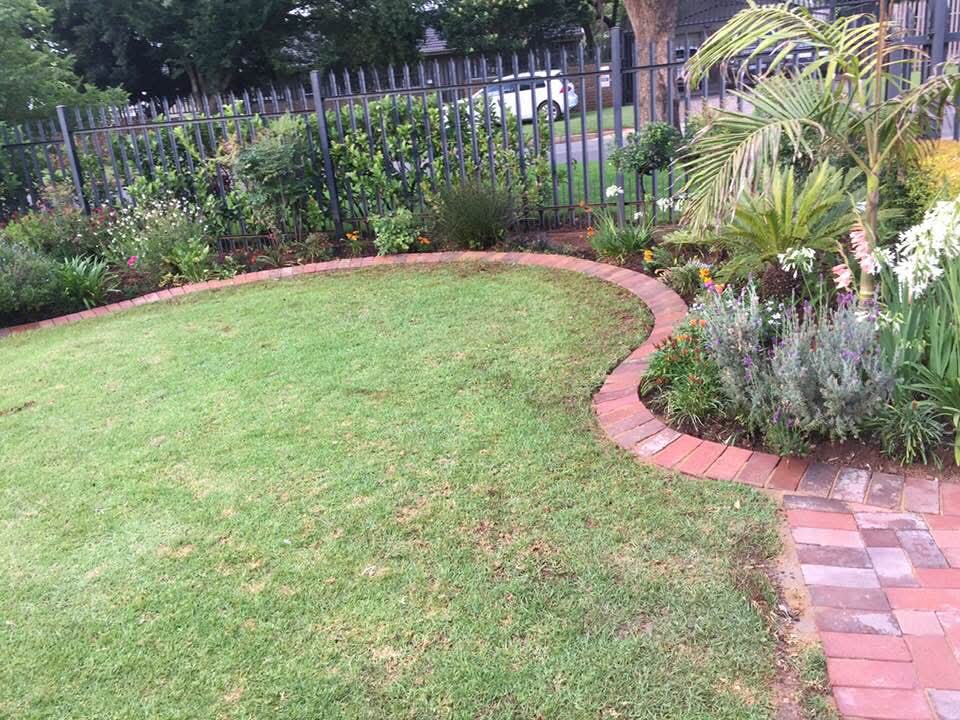 Landscaped garden with curved brick lawn edging and lavender planting