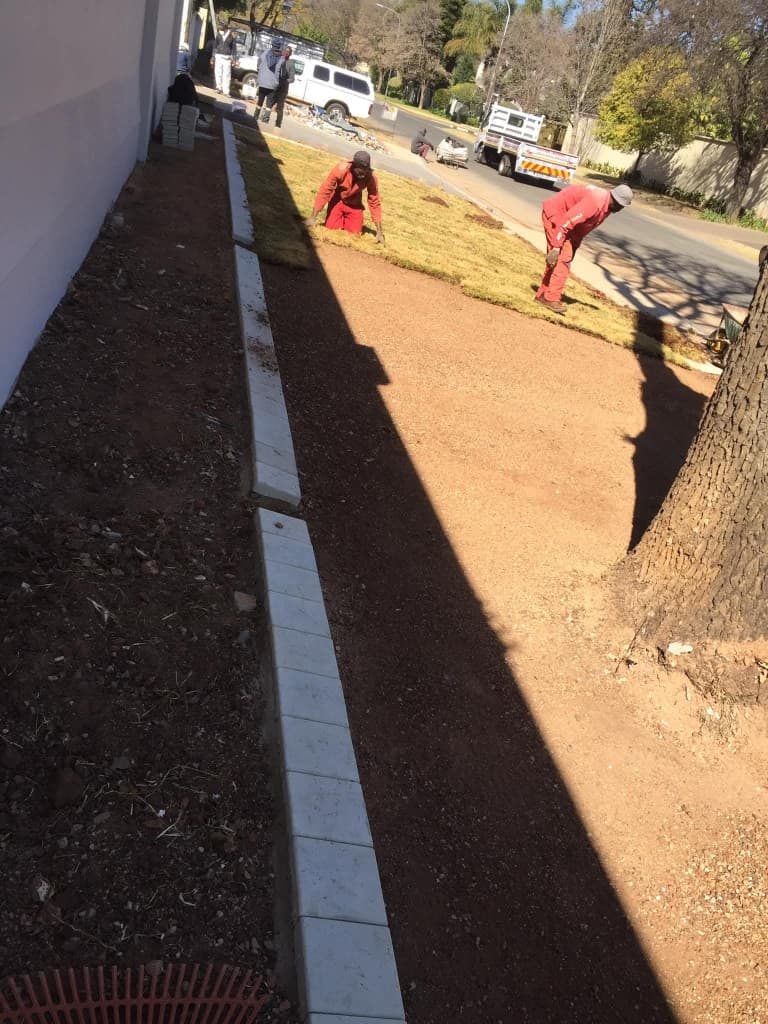 Professional sod installation along a building walkway